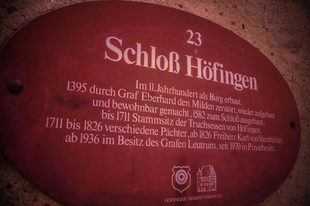 Schlosshotel Hoefingen เลออนแบร์ก ภายนอก รูปภาพ