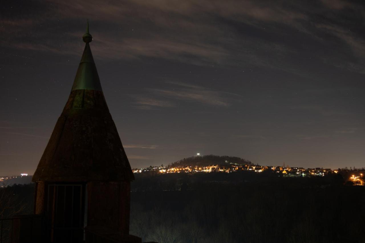 Schlosshotel Hoefingen เลออนแบร์ก ภายนอก รูปภาพ